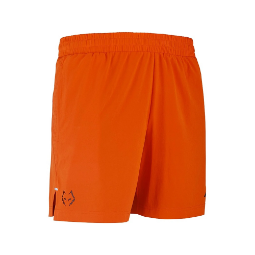 Шорти BABOLAT